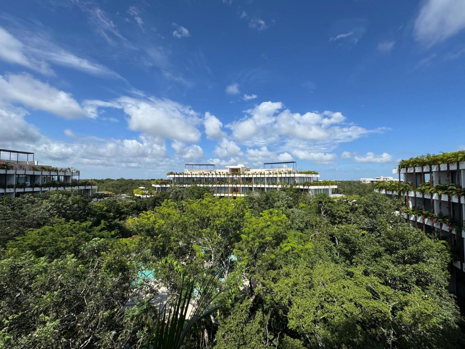 Rooftop Ph, 24hr Security, Private Pool, 3 King Beds!! 3 Mins To The Beach!! Tulum